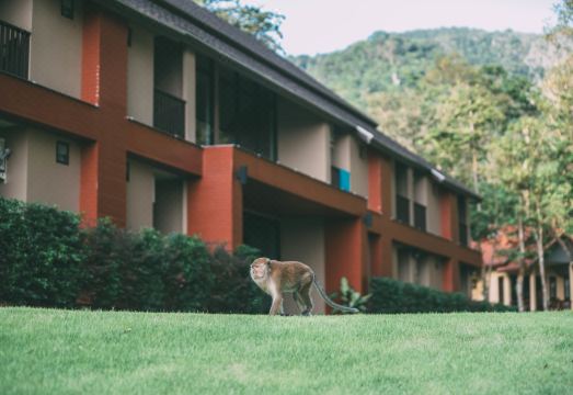 톤사이 베이 리조트