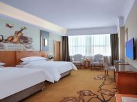 维也纳国际酒店(青州宋城古城店) - 特价双床房