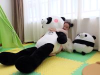 都江堰玉瑞酒店 - 熊猫世界亲子房