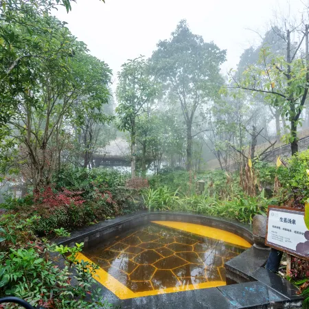 Lotus Hot Spring