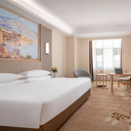 Vienna International Hotel(Ruili hot spring store)