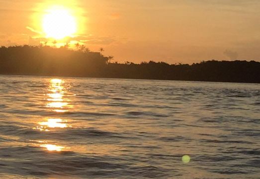 5. 롭 & 프레즈 ..