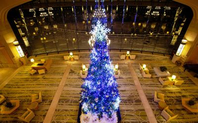 共有エリア ザ・ウィンザーホテル洞爺リゾート & スパの写真