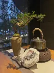 Howard Johnson Aisya Wuyi Square Changsha - Træningscentre