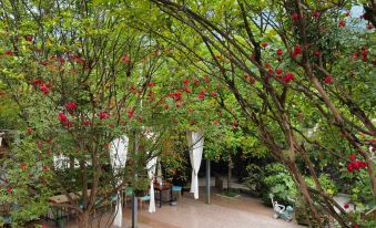 Qingcheng Mountain Flower and Brook Pick Up Light Cloud Valley Villa