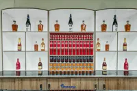 Tropicasa Coron Resort and Hotel - bar