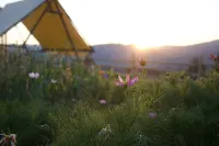 Baihaba Chaoqiu Mountain Guesthouse فنادق في خا با خه