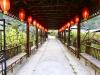 Linjiang Songxue Hotel Hotels in Linjiang