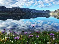 Linyuan Boutique Homestay (Changbai Mountain Chixi Tourist Transfer Center)