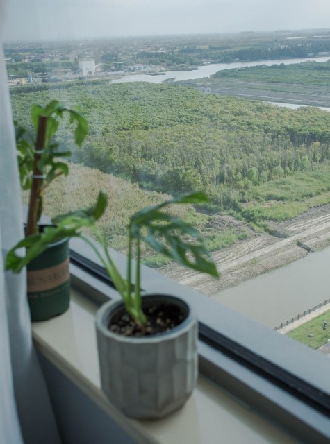 上海盛夏居公寓（淀山湖大道分店）Over view