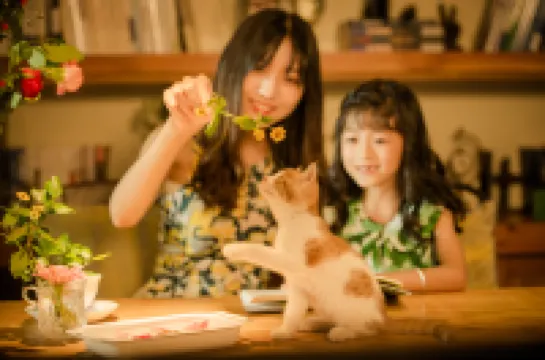 九如山貓窩民宿