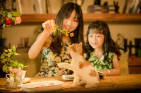 Jiurushan Cat's Nest B & B