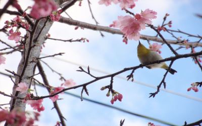 その他 ホテルリゾネックス名護の写真