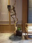 Howard Johnson Aisya Wuyi Square Changsha - Træningscentre