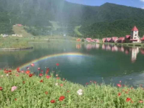 Scandina Resort Hotel Hotels in Dayi