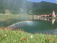 Scandina Resort Hotel Hotels in Dayi