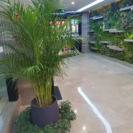 Lvyi·Sunshine Hotel (Hengdong Branch)