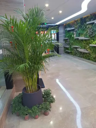 Lvyi·Sunshine Hotel (Hengdong Branch)