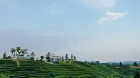 Floral Hotel·Chaoran Yunsu hotel (Ya'an Branch) Hotels in Ya'an