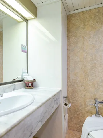 รูปภาพของพินนาเคิล ลุมพินี พาร์ก โฮเทล