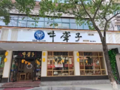 Chaling Mountain Elm Art Hotel Hotels in Chaling