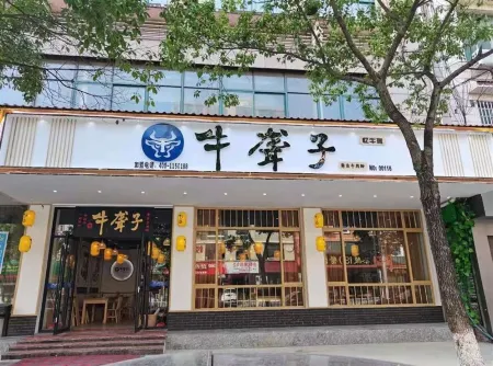 Chaling Mountain Elm Art Hotel Отели в г. Чалин