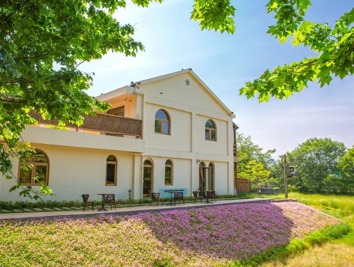 Under the Tree Little White House · Shaun the Sheep Theme Homestay