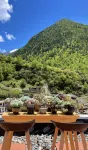 四姑娘山云溪山荘 - 絶景