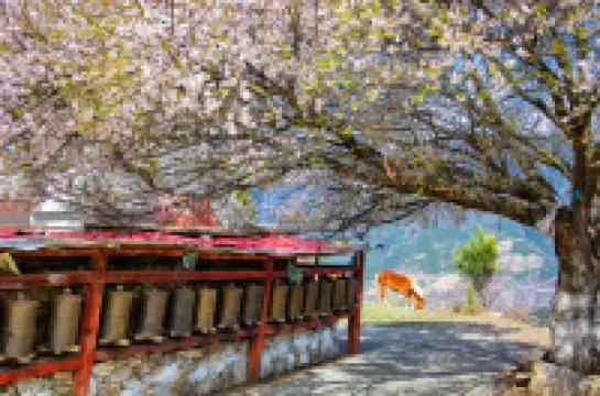 Danba Starry Sky Photography Meisu (No. 1 Observation Deck)