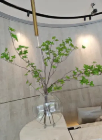 Lvyange Zhi Jia Apartment (Taiping Road)