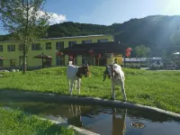 Tonghua Daming Pasture Homestay