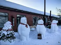Snow Valley Theme Hotel Hotel in zona Chinese Snow Valley