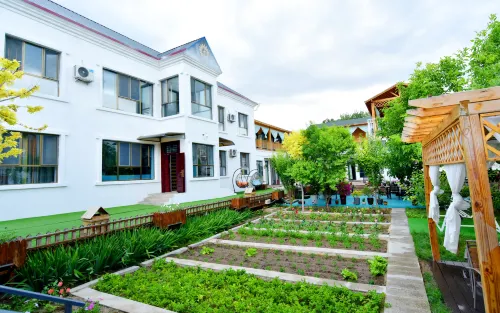 Qingmeng Xiaoxuan B&B