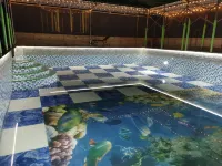 Daxin Kongshan Homestay - Pools
