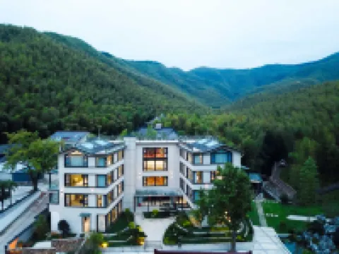 長興頤頌·山澗VillageVilla民宿