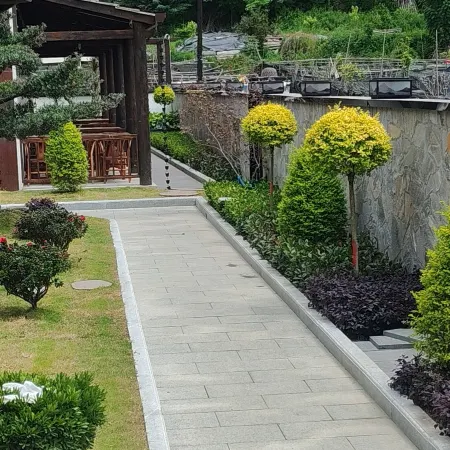 Qiyu Homestay