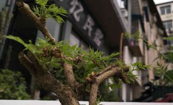 5. Zhangjia..