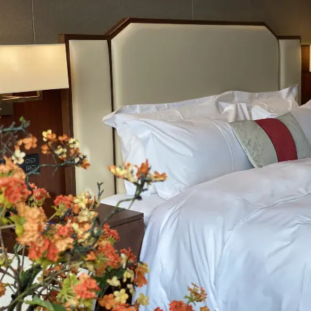 Hotan Guesthouse Hotels in Hotan
