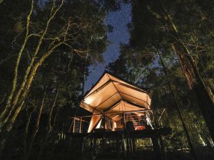 Paperbark Camp