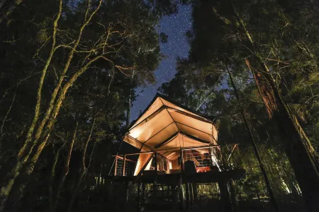Paperbark Camp