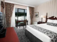 THE BROCK NIAGARA FALLS FALLSVIEW, TAPESTRY BY HILTON