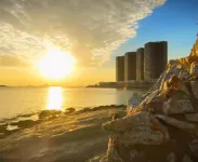 Yangxi Moon Bay Starfish Apartment