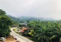 Khao Sok Nature Place - Mountain view
