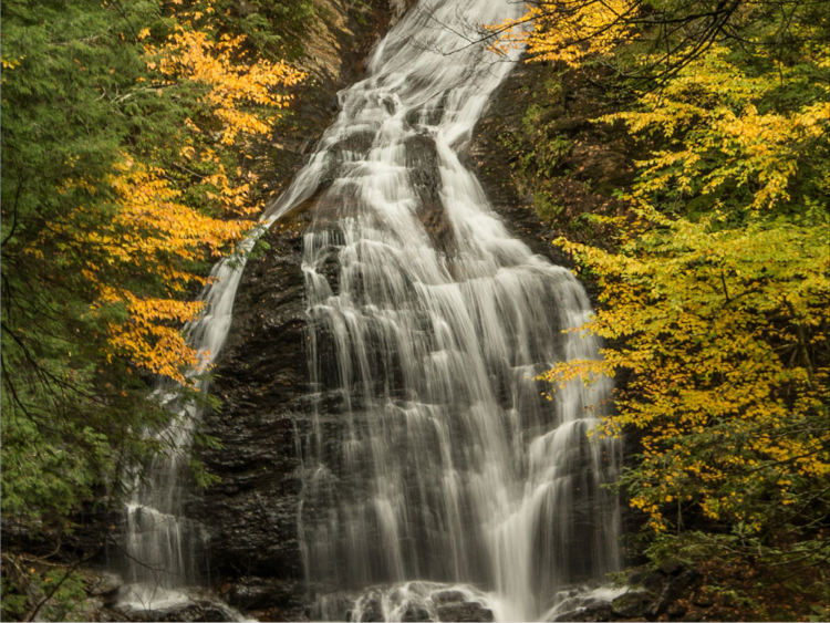 Fox Creek