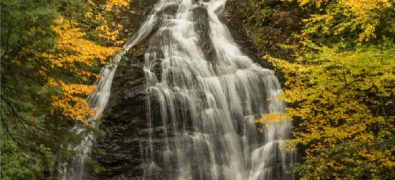 โรงแรมในตำบล บางสวรรค์