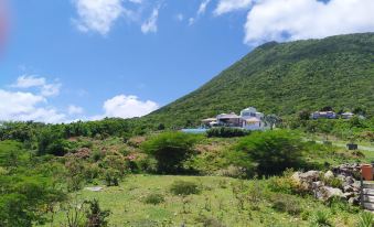 Whale Tails Hotel