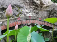 Yangshuo Mengyuan Shanju Hotel (Xingping Ancient Town Branch) Hotels in 