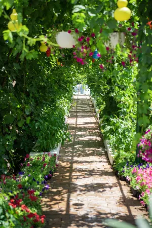 Silk Road Lodges Отели в г. Турфан