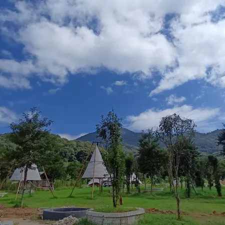 ravine stream Camp