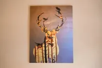 Lu Ming Bieyuan · Independent Villa Homestay (Xi'an Bell and Drum Tower as well as City Wall Store) Hotels in 